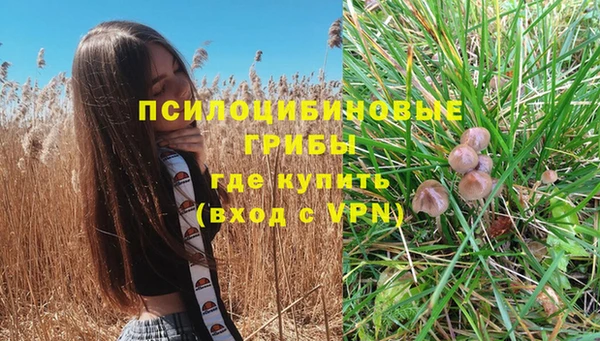 кокаин Ельня