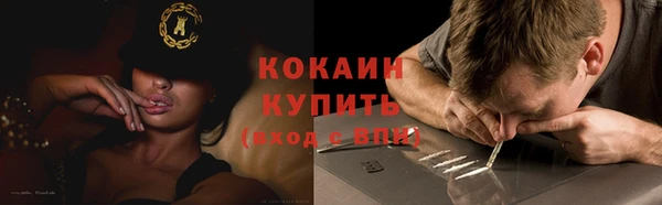 альфа пвп Елизово